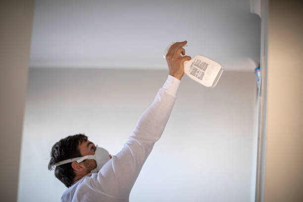 Mold Testing and Removal in Sarcoxie, MO