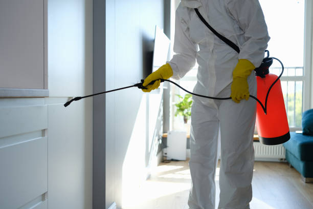 Best Attic Mold Removal  in Sarcoxie, MO