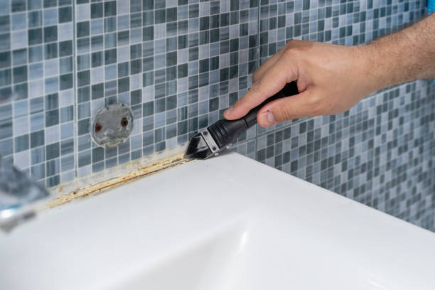 Best Mold Cleaning Services  in Sarcoxie, MO