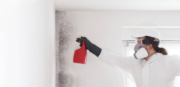 Best Commercial Mold Removal  in Sarcoxie, MO