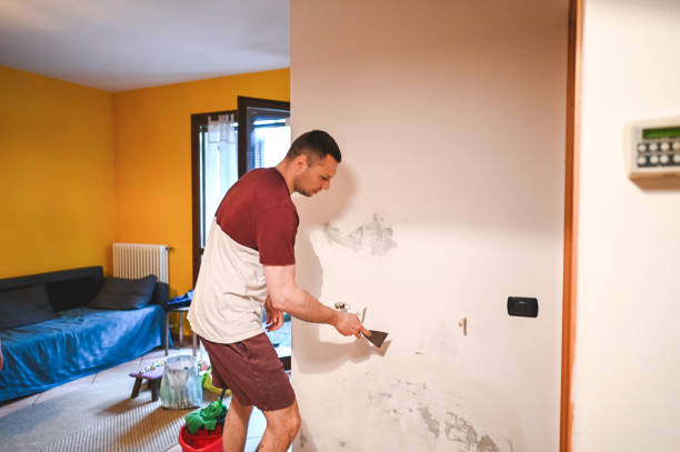 Best Fast Mold Removal  in Sarcoxie, MO